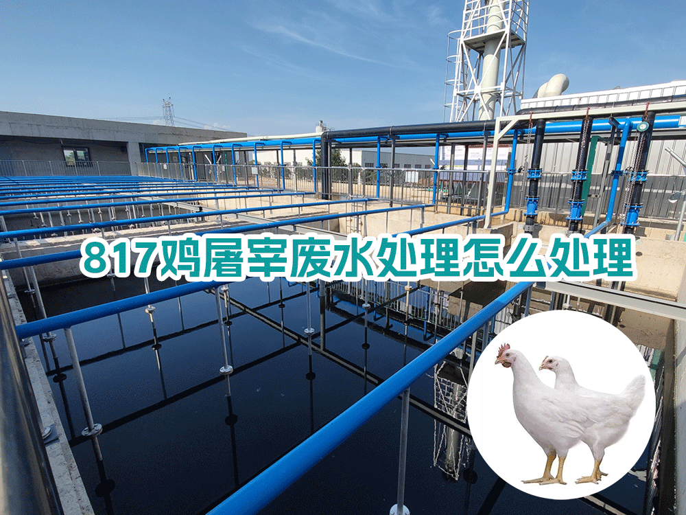 817雞屠宰廢水處理怎么處理？
