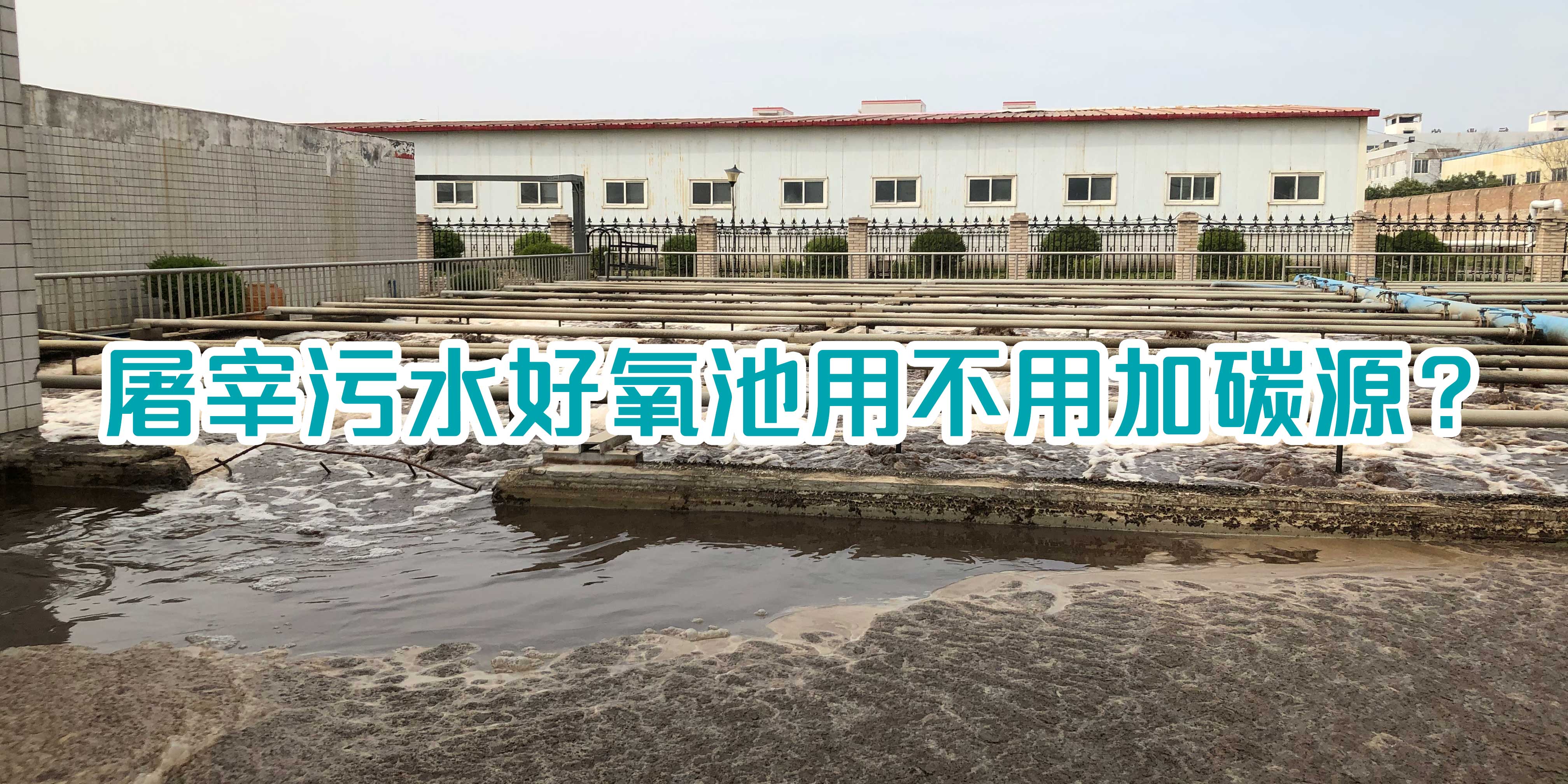 屠宰污水好氧池用不用加碳源？