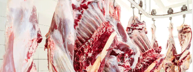 熱屠宰和冷屠宰產(chǎn)生的廢水有什么區(qū)別？