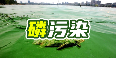 含磷廢水有什么特點？哪種除磷方法成本比較低？