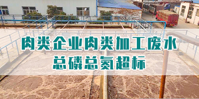 肉類企業(yè)肉類加工廢水總磷總氮超標(biāo)怎么處理?